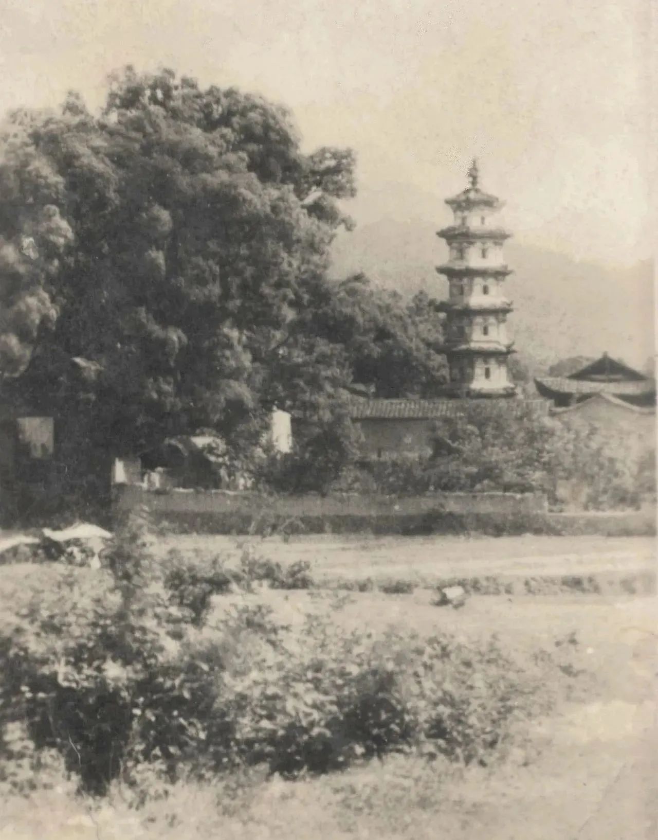 微信图片_20230908150426.jpg 微信图片_20230908150426.jpg
