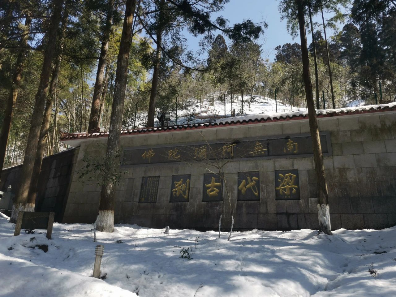 微信图片_20231017095618.jpg 微信图片_20231017095618.jpg