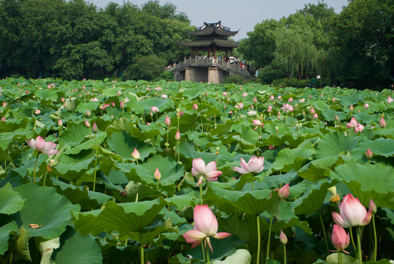 微信图片_20231108110044.png 微信图片_20231108110044.png