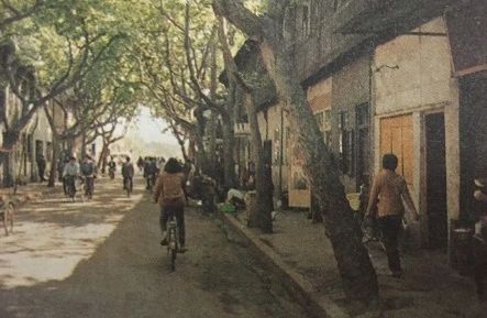 微信图片_20231208144858.jpg 微信图片_20231208144858.jpg