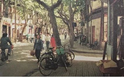微信图片_20231220105320.jpg 微信图片_20231220105320.jpg