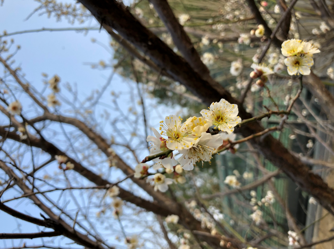 微信图片_20240206094437.png 微信图片_20240206094437.png
