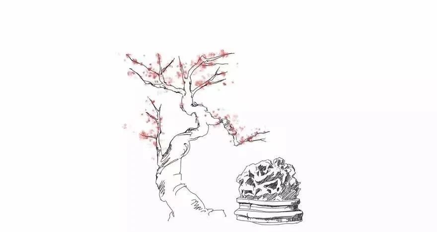 微信图片_20240320095152.jpg 微信图片_20240320095152.jpg