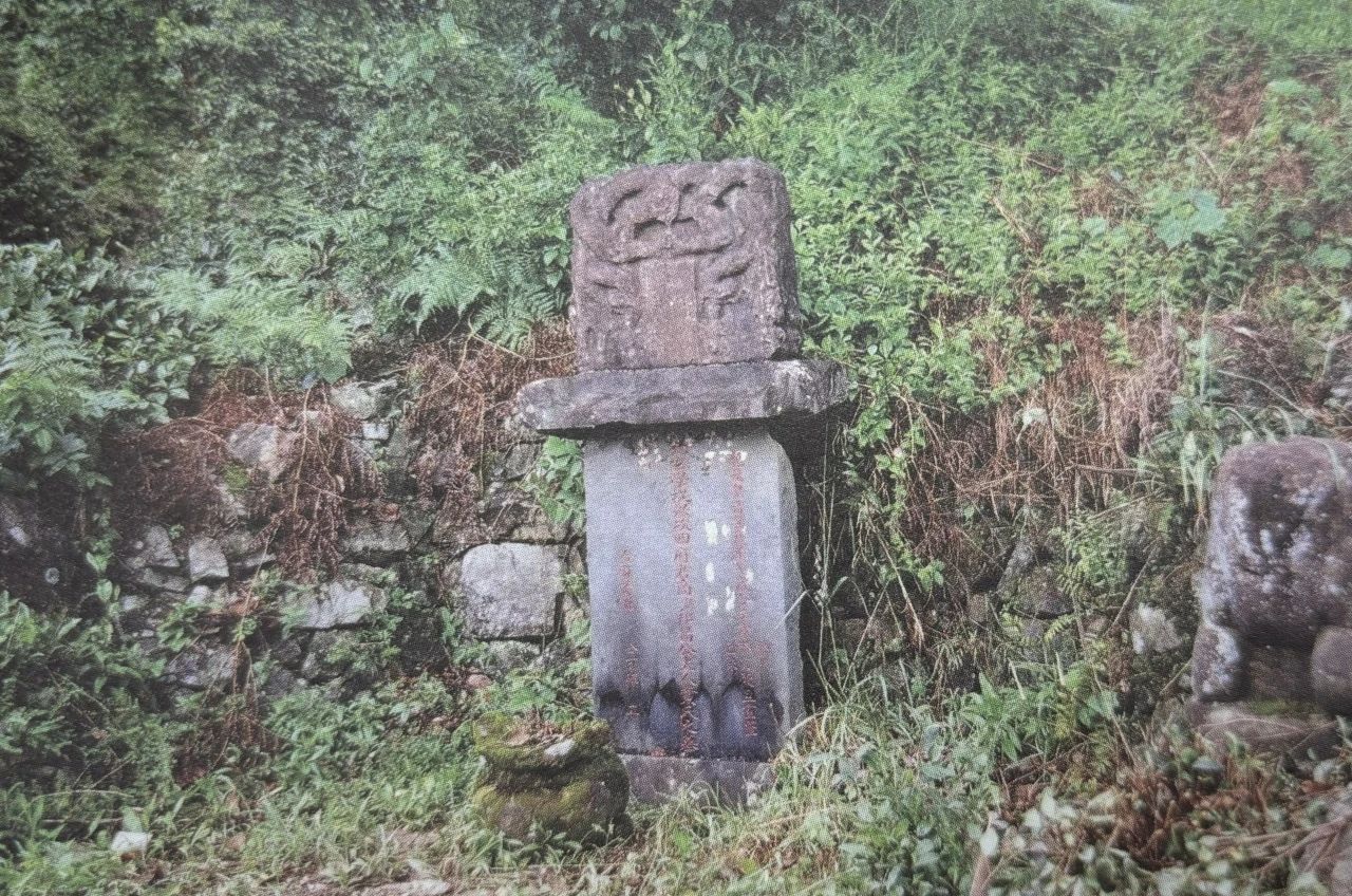 微信图片_20240402113126.jpg 微信图片_20240402113126.jpg