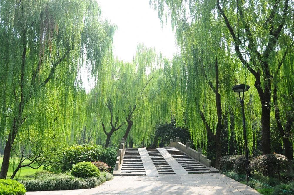 微信图片_20240408145759.jpg 微信图片_20240408145759.jpg