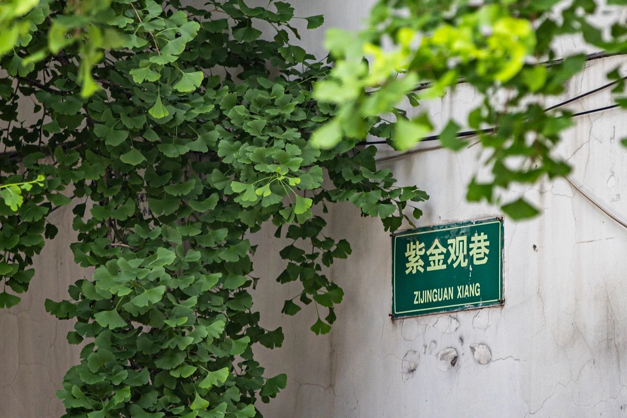 微信图片_20240514144126.jpg 微信图片_20240514144126.jpg