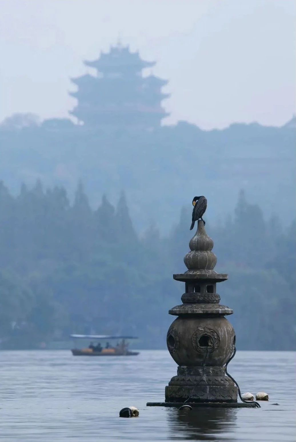 微信图片_20240625162420.jpg 微信图片_20240625162420.jpg