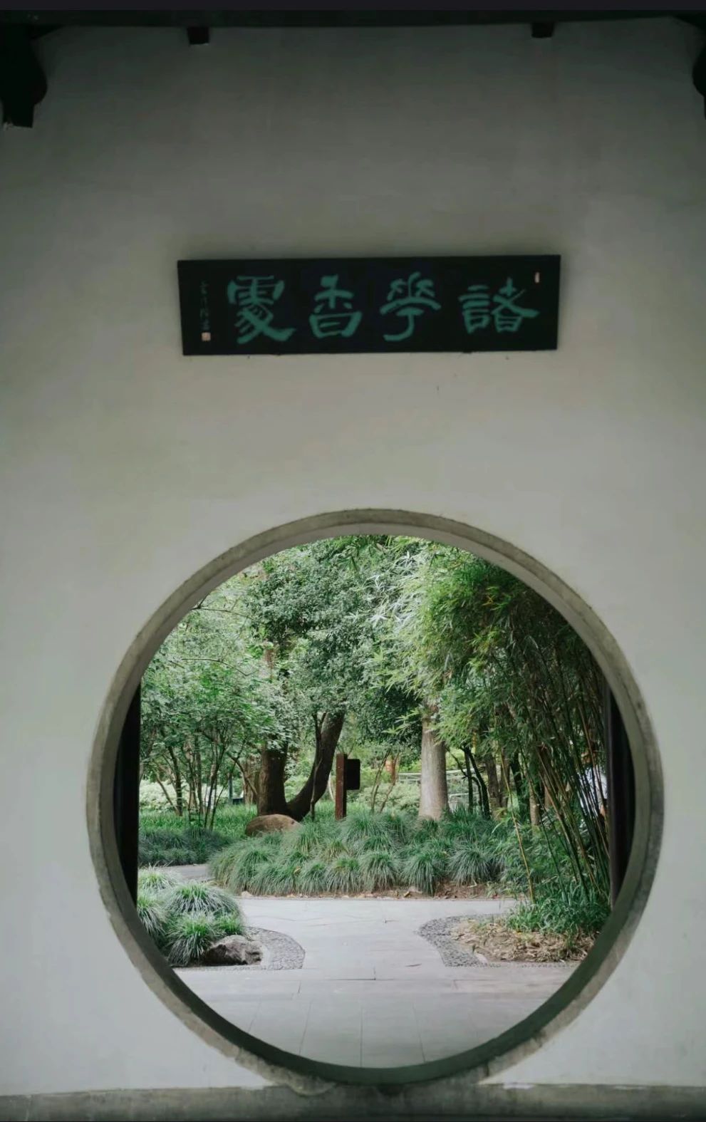 微信图片_20240710111917.jpg 微信图片_20240710111917.jpg