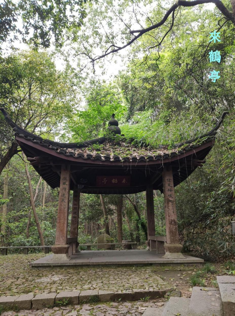 微信图片_20240710112540.png 微信图片_20240710112540.png