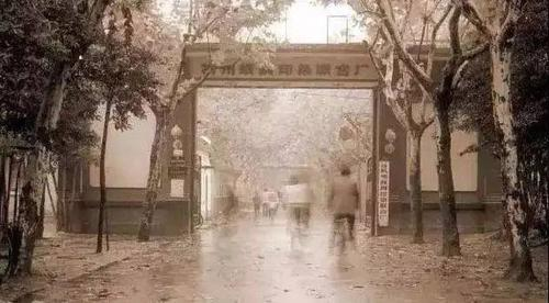 微信图片_20240828102743.png 微信图片_20240828102743.png