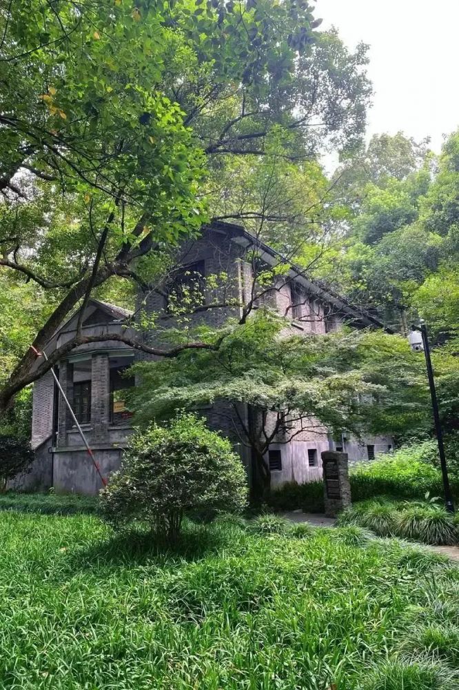 微信图片_20240830161902.jpg 微信图片_20240830161902.jpg