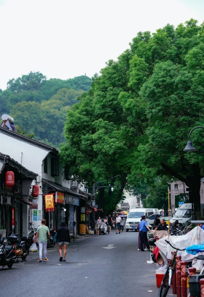 微信图片_20241008154424.jpg 微信图片_20241008154424.jpg