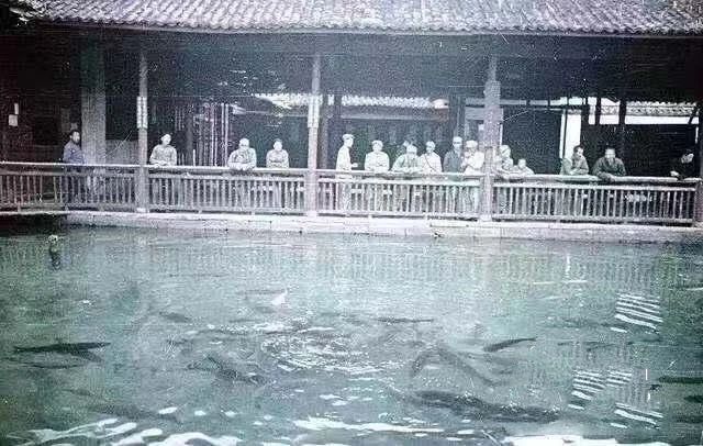 微信图片_20241014111357.jpg 微信图片_20241014111357.jpg