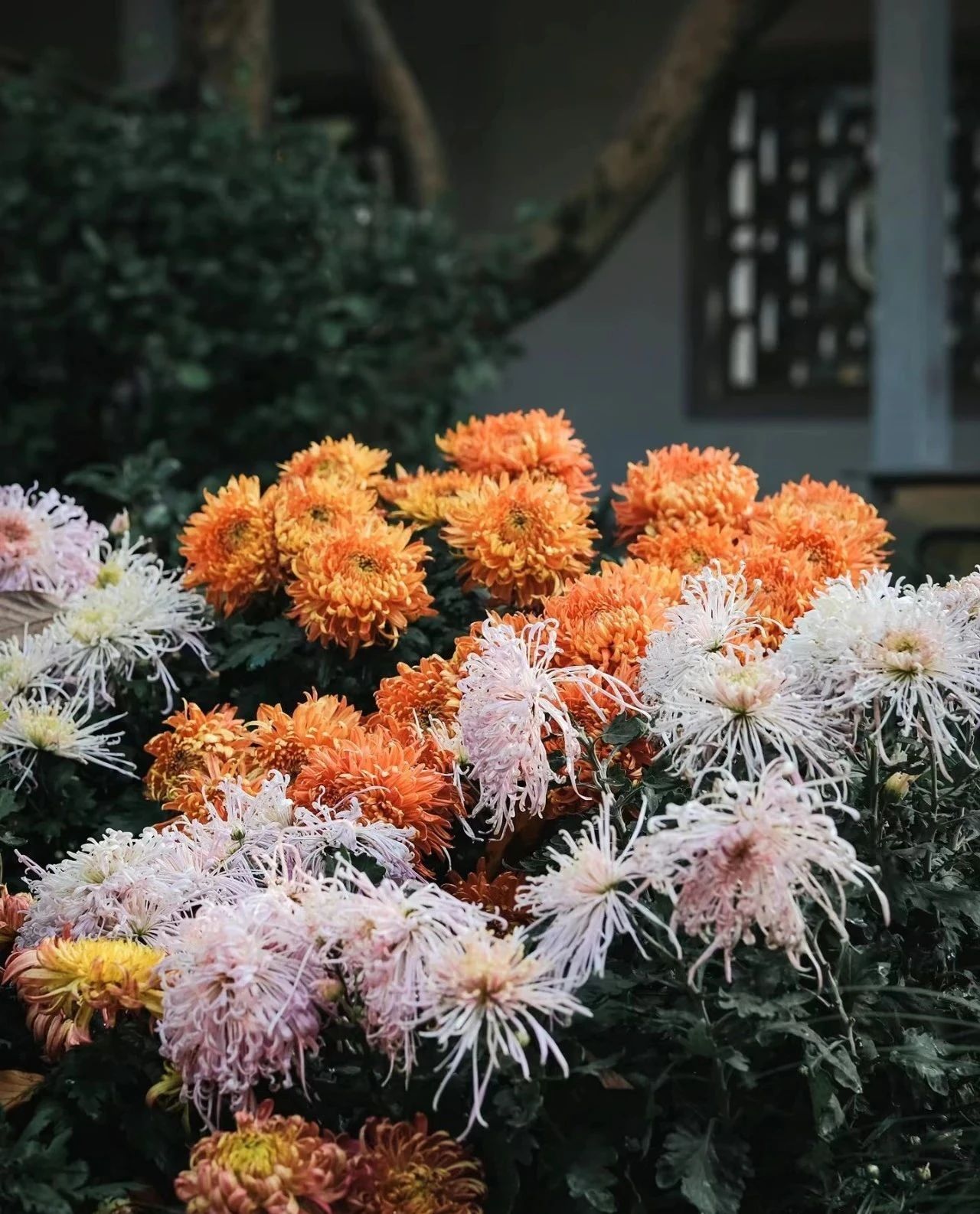 微信图片_20241016103221.jpg