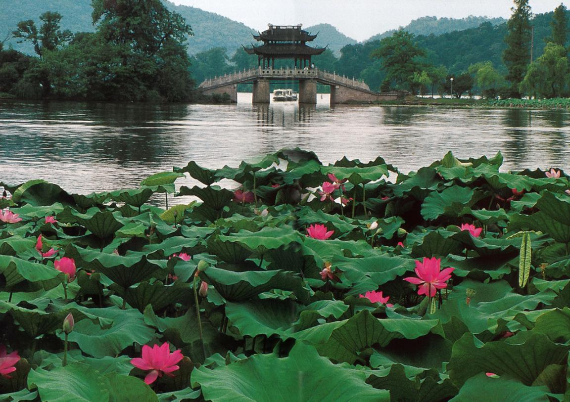 微信图片_20241021095851.png 微信图片_20241021095851.png