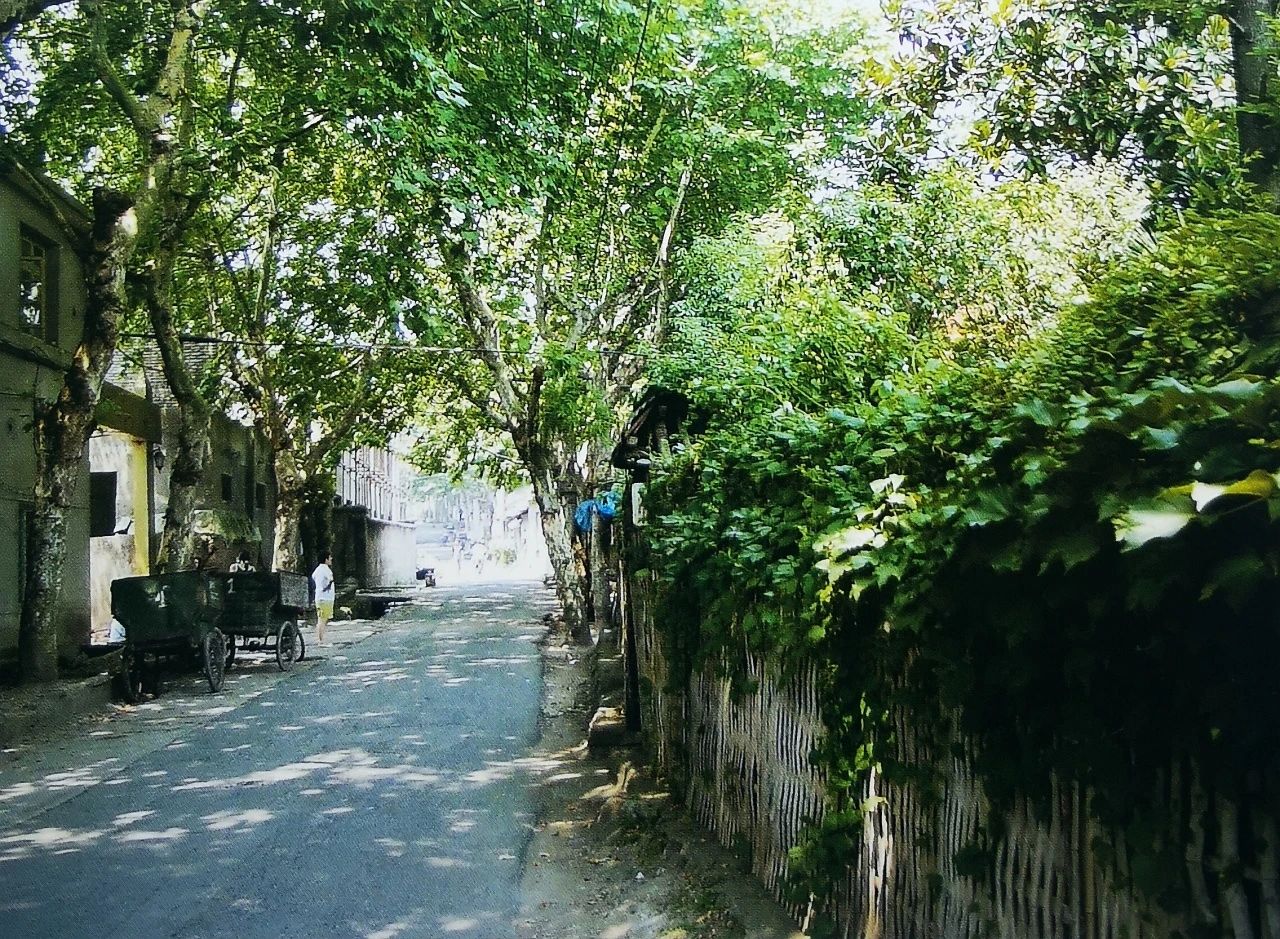 微信图片_20241028094325.jpg 微信图片_20241028094325.jpg