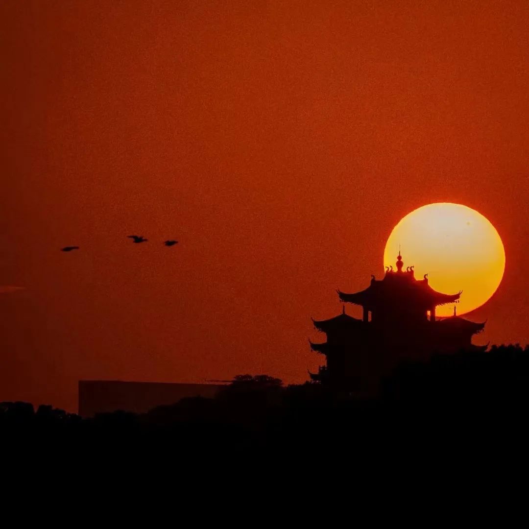 微信图片_20241111104503.jpg 微信图片_20241111104503.jpg