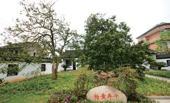 微信图片_20250115100609.png 微信图片_20250115100609.png