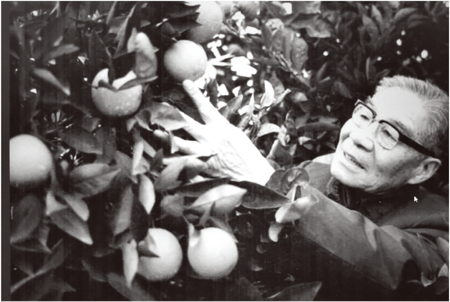 微信图片_20250205103635.png 微信图片_20250205103635.png
