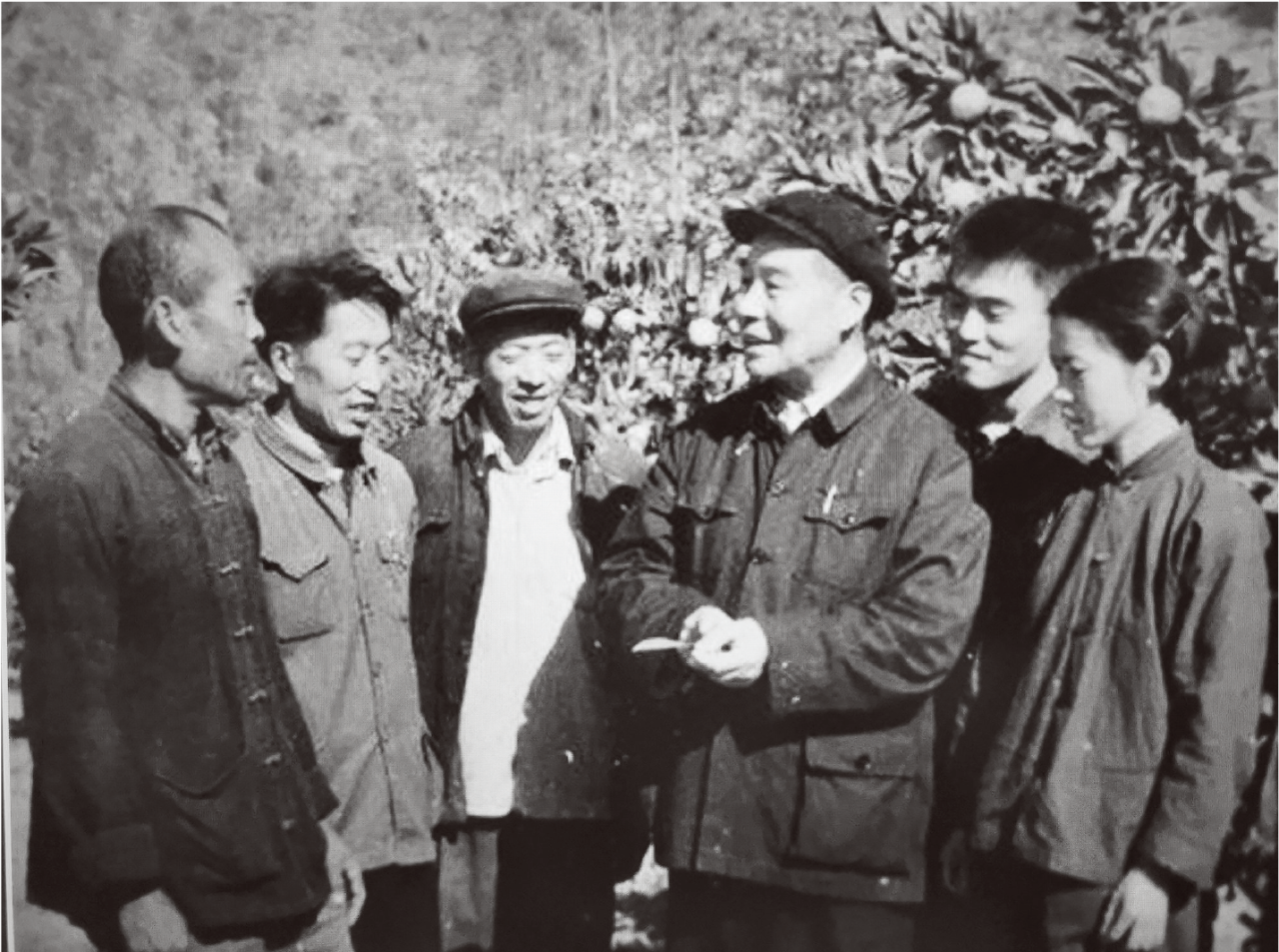 微信图片_20250205103642.png 微信图片_20250205103642.png
