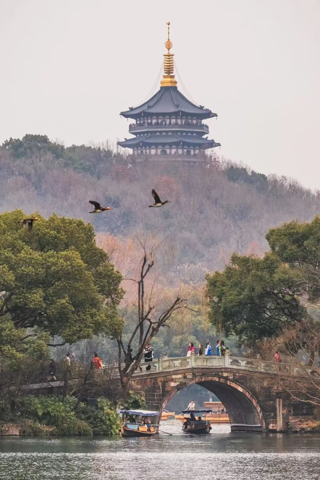 微信图片_20250207152321.jpg 微信图片_20250207152321.jpg