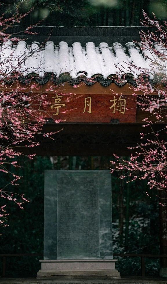微信图片_20250218141551.jpg 微信图片_20250218141551.jpg