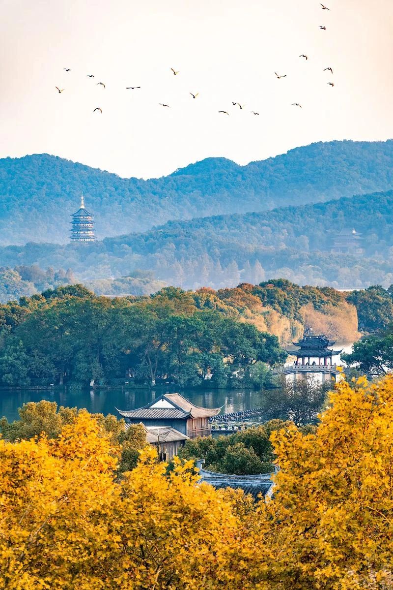 微信图片_20250306105207.jpg 微信图片_20250306105207.jpg