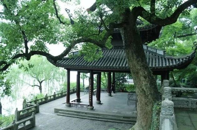 微信图片_20250312105007.jpg 微信图片_20250312105007.jpg