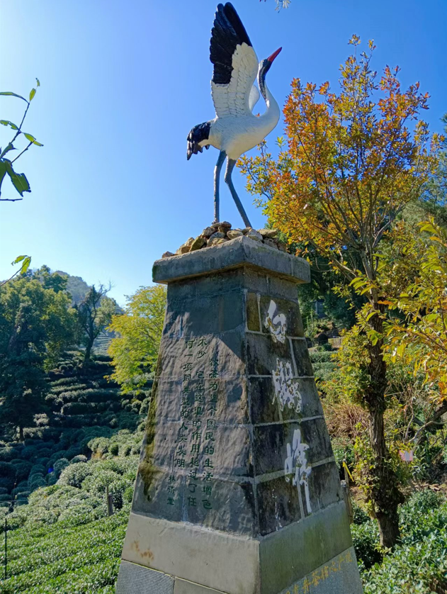 微信图片_20250319142545.png 微信图片_20250319142545.png