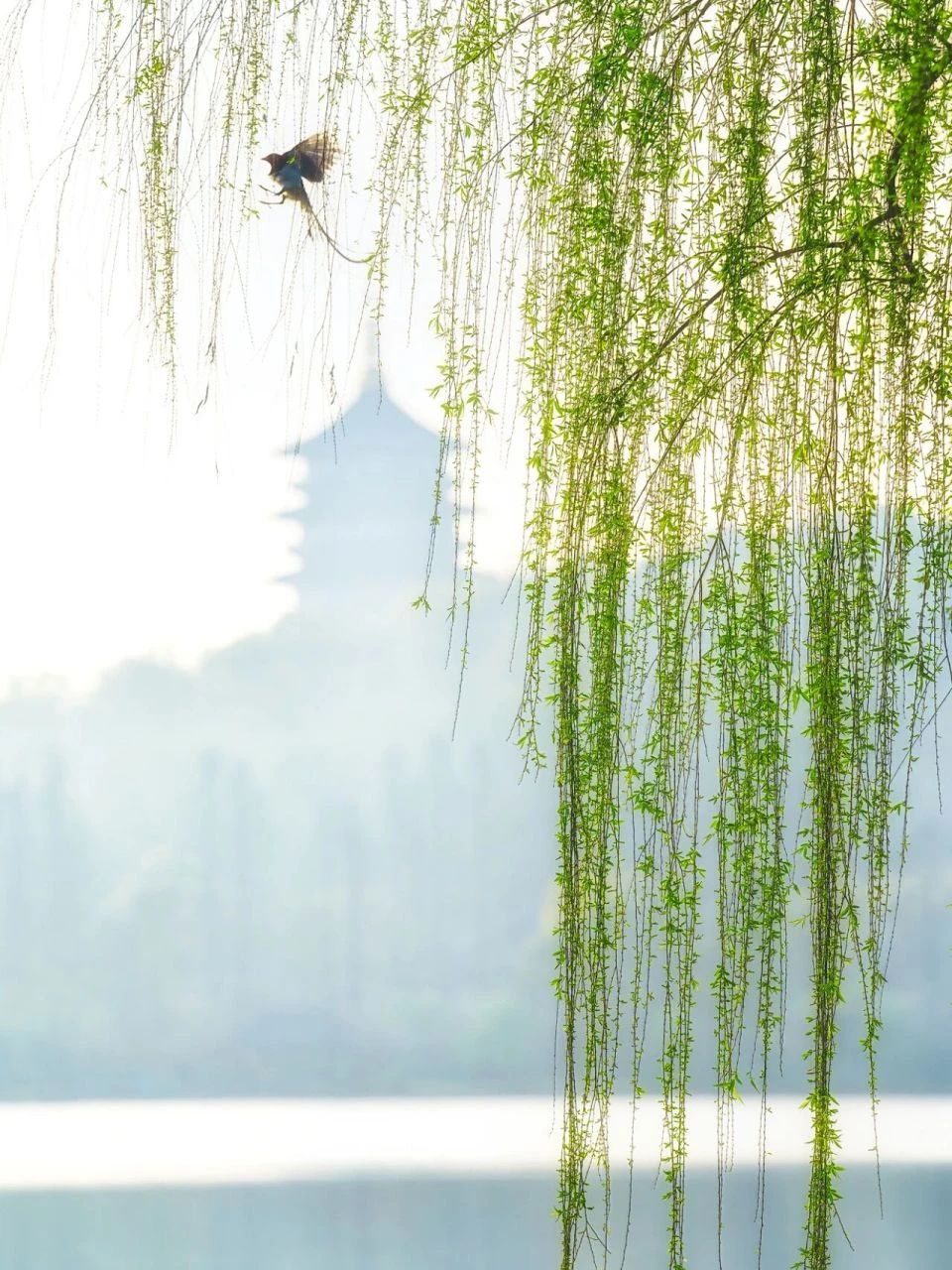微信图片_20250409111343.jpg 微信图片_20250409111343.jpg