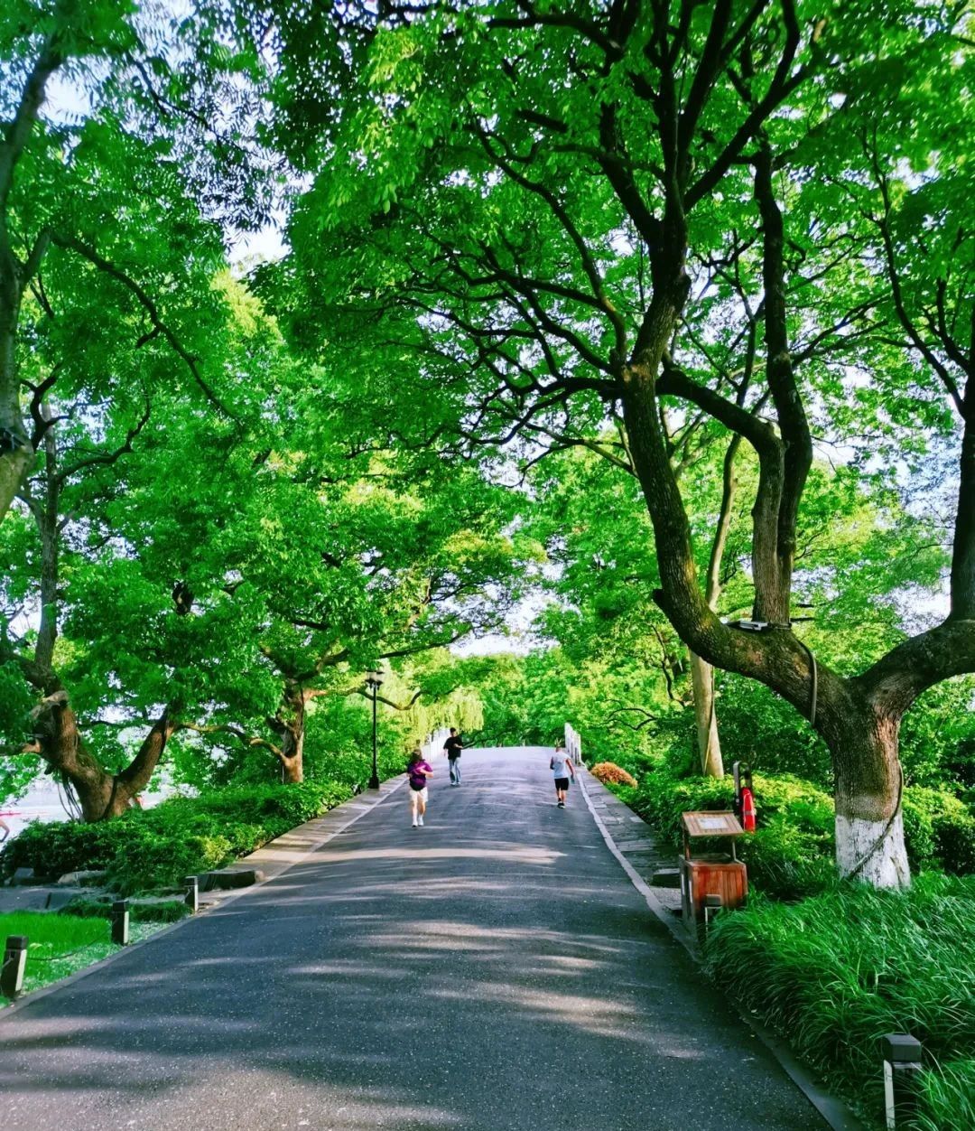 微信图片_2025-06-24_093407_893.jpg 微信图片_2025-06-24_093407_893.jpg