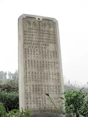 微信图片_2025-09-18_095447_294.jpg 微信图片_2025-09-18_095447_294.jpg
