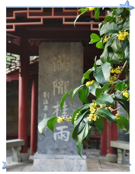 微信图片_2025-09-26_103913_568.png