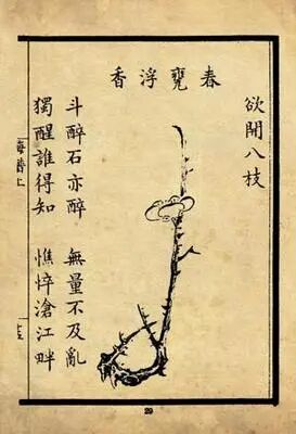 微信图片_2026-03-03_145608_180.jpg 微信图片_2026-03-03_145608_180.jpg